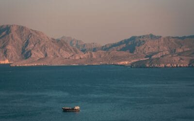 The Hormuz Disruption Is Here. Is Your Operation Ready to Respond?